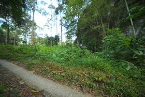 BIB: 
                            <button type="button" onclick="openModal(21744916)" class="btn btn-primary btn-sm float-right btn-popup" data-toggle="modal" data-target=".modal-high-quality">
                        <i class="fas fa-shopping-cart"></i> Add to Cart
                    </button>
                                            <button type="button" onclick="isThisMe(21744916, true)" class="btn btn-success btn-sm float-right btn-popup btn-isme hidden" data-toggle="tooltip" data-placement="bottom" title="นี่คือรูปของคุณใช่ไหม คลิกที่นี่เพื่อเอาเข้าอัลบั้ม">
                        <i class="fas fa-plus"></i> Add to album
                    </button>
                    <button type="button" onclick="isThisMe(21744916, false)" class="btn btn-warning btn-sm float-right btn-popup btn-isnotme hidden">
                        <i class="fas fa-ban"></i> Remove from album
                    </button>